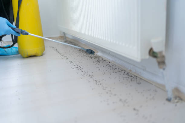 Reliable Centralia, WA Pest Control Solutions